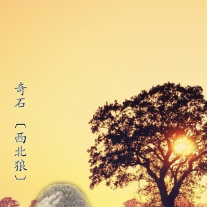 Їʮʯ֮һ